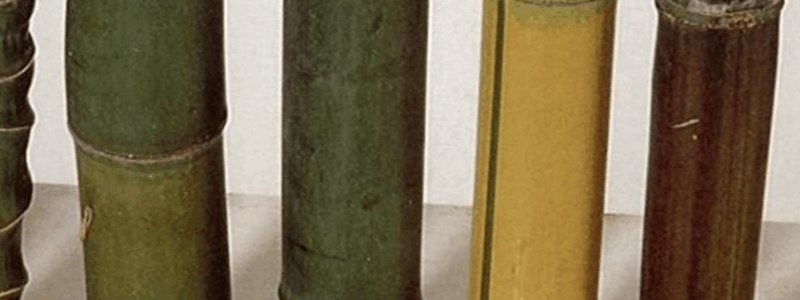 Bamboo in Construction